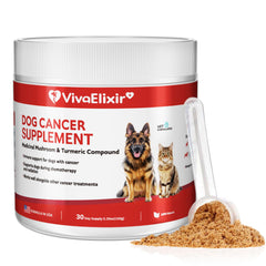 VivaElixir Poudre champignons, dosage pratique pour une consommation quotidienne.