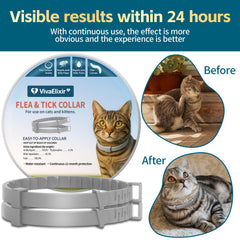 Collier VivaElixir étanche pour chat – parfait pour baignade et sorties plage.
