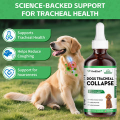 Gouttes VivaElixir Bouillon Blanc: soulagement naturel pour la gorge du chien.