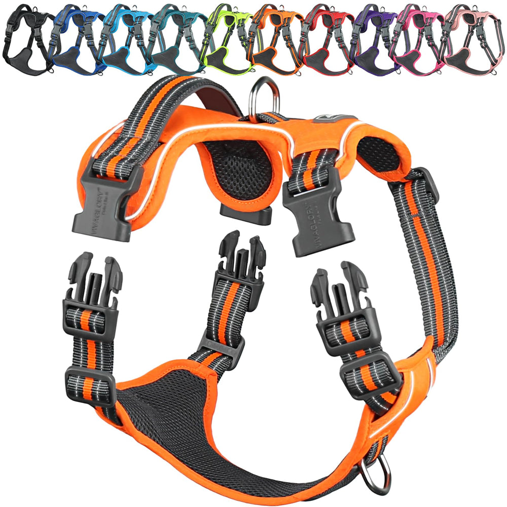 Harnais VIVAGLORY EaseWalk avec clip frontal pour guider le chien lors des promenades
