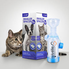Vivelle inhalateur main avec masque chat petit pour une délivrance adaptée et confortable.