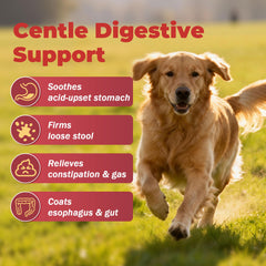 VivaElixir Orme Glissant – Poudre fine à ajouter dans l’alimentation canine.