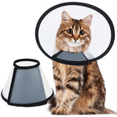 Vivifying collier elisabethain pour chat grand, protection post-chirurgie et confort.