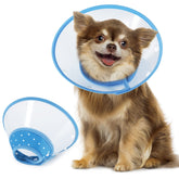 Cône Vivifying pour petit chien bleu, idéal en récupération.