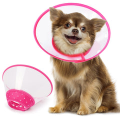 Vivifying collier élisabéen sur petit chien rose, prévention lèchement après chirurgie.