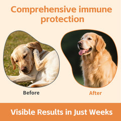 Probiotiques et colostrum VivaElixir pour une flore intestinale équilibrée et une peau saine.