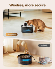 VKIMISS assiette eau inox chat présentant une surface hygiénique et facile à nettoyer