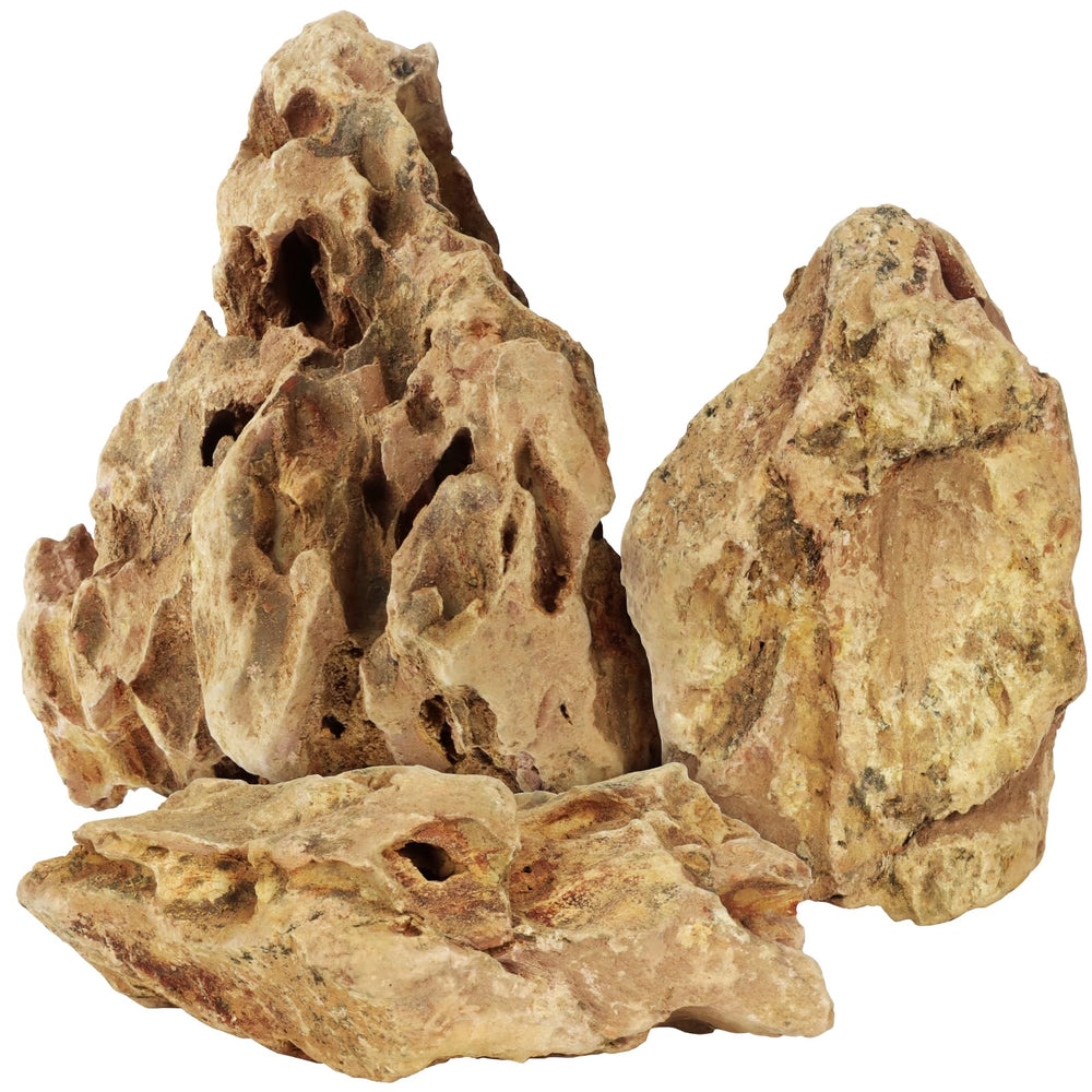 VOKOY pierres dragon pour aquarium, decor naturel et abris pour poissons.