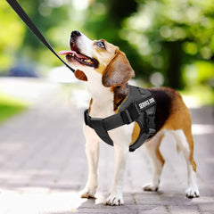 Harnais VOOPET Service Chien XXS, vue arrière, s'ajuste parfaitement pour la marche