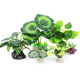 Vtapliea: plantes d'aquarium hauteur 5-pack pour un décor durable et élégant.