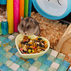 Bol en céramique VTurboWay pour hamster, anti-renversement violet et design attrayant