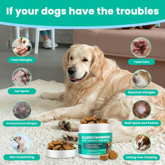 VUN friandises allergie chien dans un bol – dégustation facile et soutien cutané