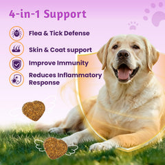 Gommes VUN – usage quotidien recommandé, intégrées facilement à la routine du chien.