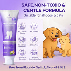 VVHOMIFE dentifrice nHA 6% – haleine plus fraîche après le brossage.