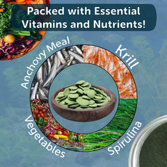 Wafer spiruline Aquatic Foods Inc., texture légère et nutriments concentrés.