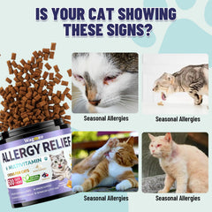 Wagmee Cat Allergy Relief Chews – texture croquante et centre crémeux, expérience agréable.
