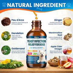 Gouttes Wagmee levure pour oreilles - réduction des irritations.