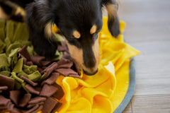 Wagorific Chien utilisant Snuffle Mat: divertit votre compagnon lors des moments calmes.
