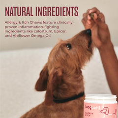 WagWell Allergy & Itch Chews – ingrédients Ahiflower et oméga, soutien peau et gut.