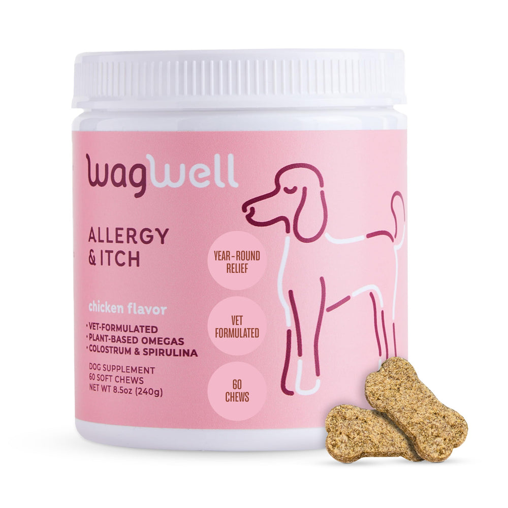 WagWell Allergy & Itch Chews emballage pratique, soutien quotidien pour la peau et l'immunité.