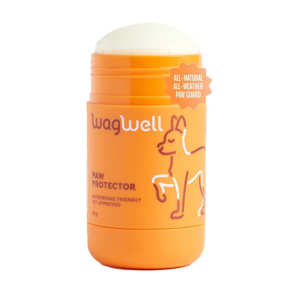 Pommade WagWell pour patte protectrice, application facile avant la promenade.
