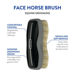 WAHL brosse visage cheval nettoyage précis autour des zones sensibles.