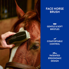 WAHL brosse cheval poils propres et pelage sain après usage.