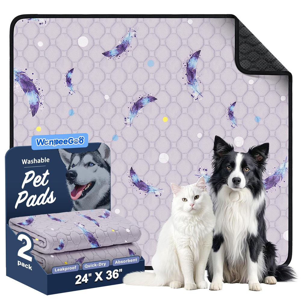 WanpeeGoo tapis-lavable pour chien, absorbant, pratique pour le dressage