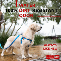 WAUDOG harnais étanche bleu - boucle métallique solide pour maintien fiable