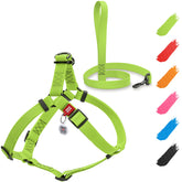 WAUDOG harnais pour chien imperméable avec laisse de 6 pieds, idéal pour sorties pluvieuses.