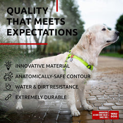 Réglage de taille WAUDOG, ajustement facile pour chien de toutes tailles.