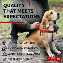 Tag QR WAUDOG pour chien rouge, identification et sécurité.