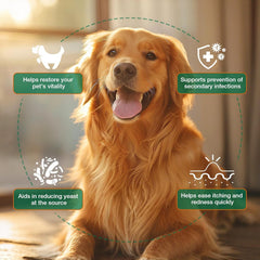 WBSQL compatibilite chiens et chats tous ages pour une solution polyvalente.