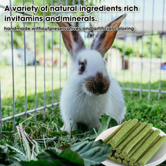 Bâtons polyvalents WDEFUN pour lapins, cochons d’Inde, chinchillas et hamsters.
