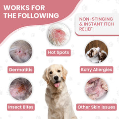 We Love Doodles Confort Pelage Apres Traitement Chien: pelage plus doux et apaisé.