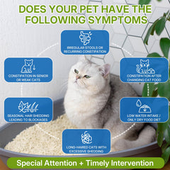 Chat buvant l'eau avec WEALLIN, absorption facilitée du supplément.