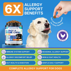 WEALLIN friandises pour chien, texture douce facilitant la mastication.