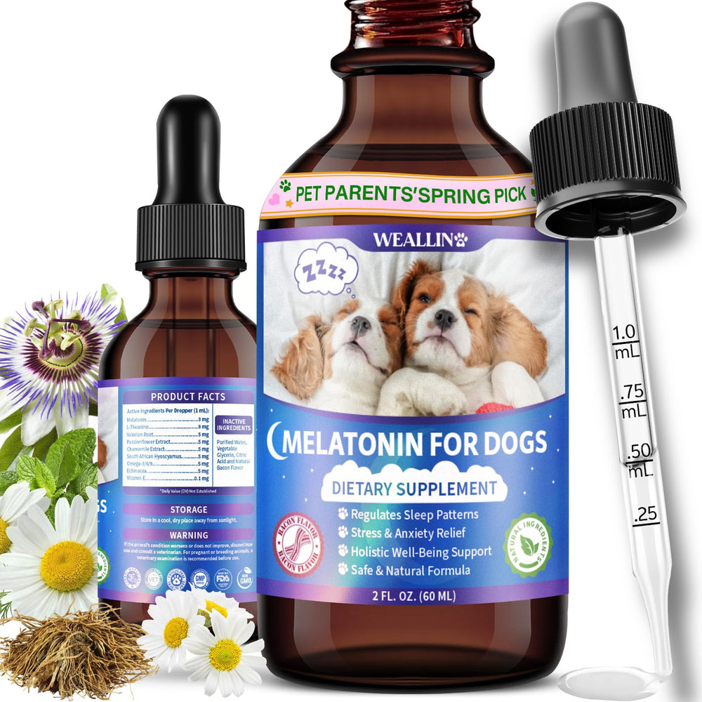 WEALLIN Mélatonine pour chien - bouteille visible pour une routine calme