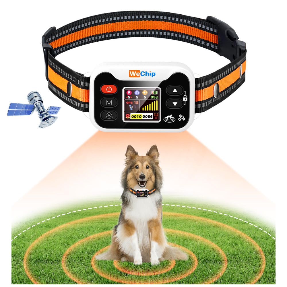 WeChip collier GPS pour chien, 3 modes, sécurité proactive.