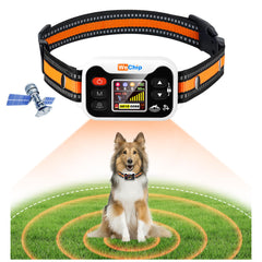 WeChip collier GPS pour chien, 3 modes, sécurité proactive.