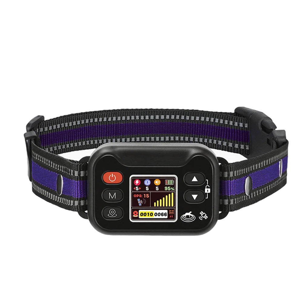 Le collier GPS WeChip sur chien, démontrant le contrôle sans fil pour zones sécurisées.