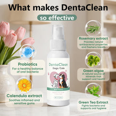 Weershun Dentaclean Spray sur les dents, hygiène buccale sans brossage.