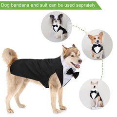 Weewooday Bandana chien – détails assortis pour un look coordonné