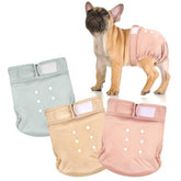 wegreeco couches sans trou pour queue — confort sans pression pour chien