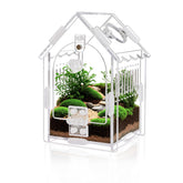 WEIKEJINA terrarium araignée sauteuse 3-15x3-15x5-6 pour habitat sûr et arboricole.