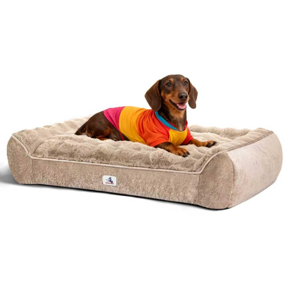 Lit chien Welfibr avec rembourrage mousse hachee offrant soutien adaptatif et confort