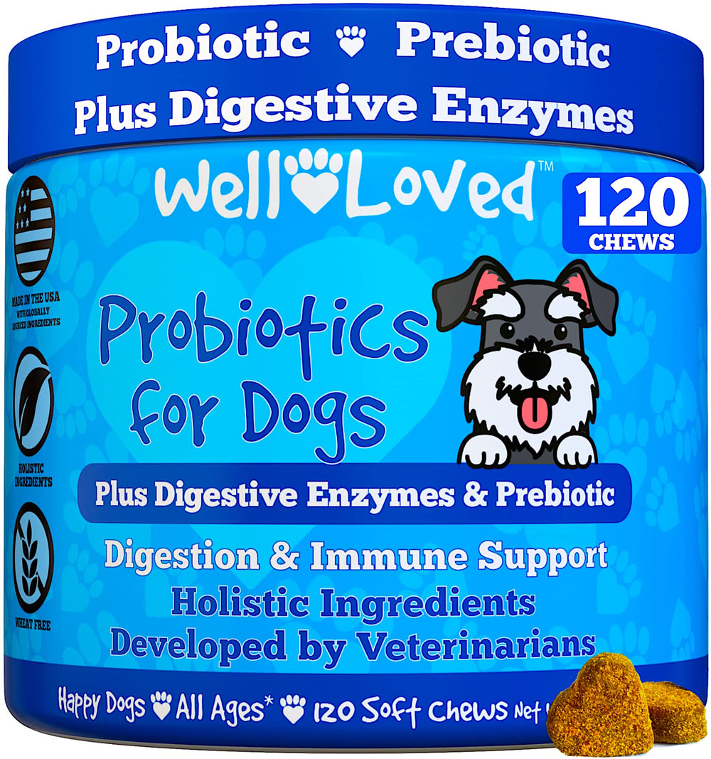 Well Loved Probiotiques pour Chiens — bouteille et versement, soutien digestif potentiel.