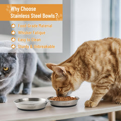 Bol Wellbro faible profondeur pour chats, confort des moustaches.