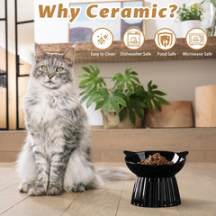Wellbro bol chat incline-15deg illustre l'inclinaison pour mieux manger.