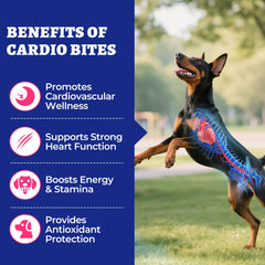 Bien présentées, les bouchées Wellix Cardio Bites dans leur sachet pratique.